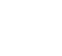 Austin Moms